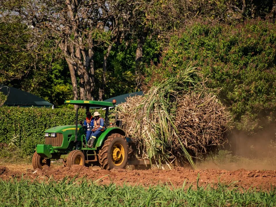 Trator a puxar um reboque carregado de cana num campo de terra vermelha