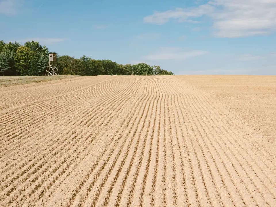 Campo lavrado em sulcos regulares, pronto para a sementeira