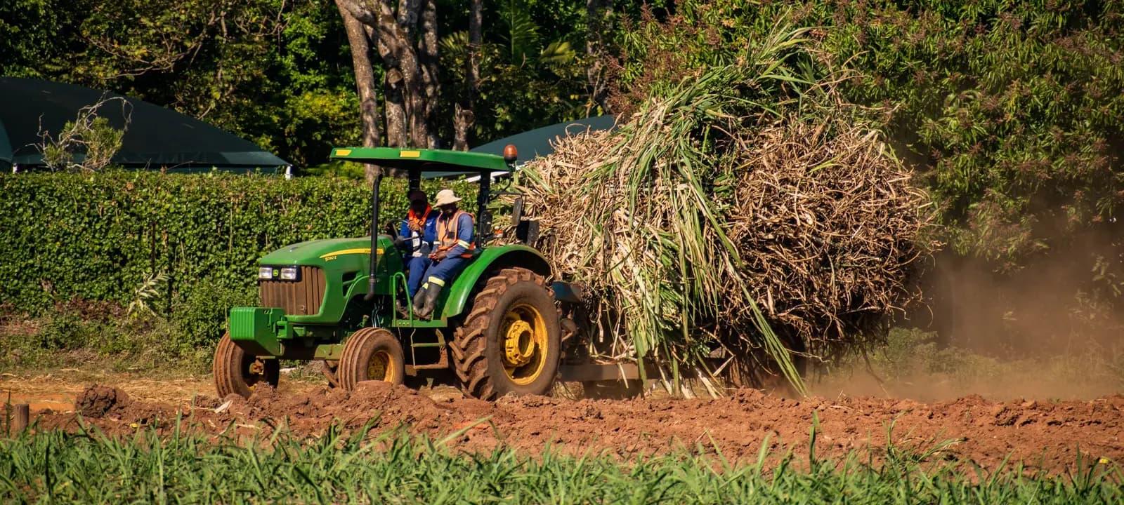 Trator a trabalhar num campo agrícola